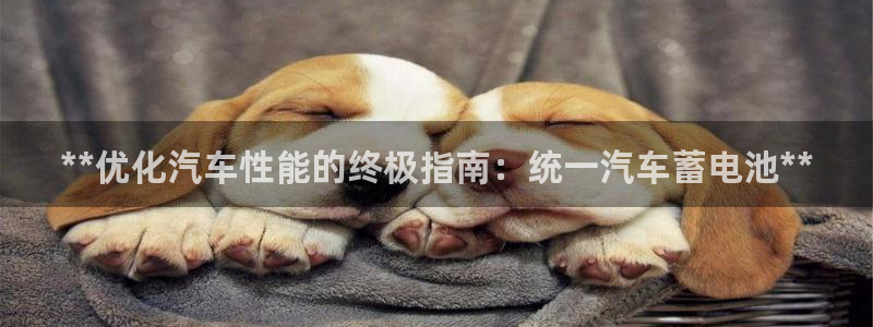 优发国际手机app下载安装