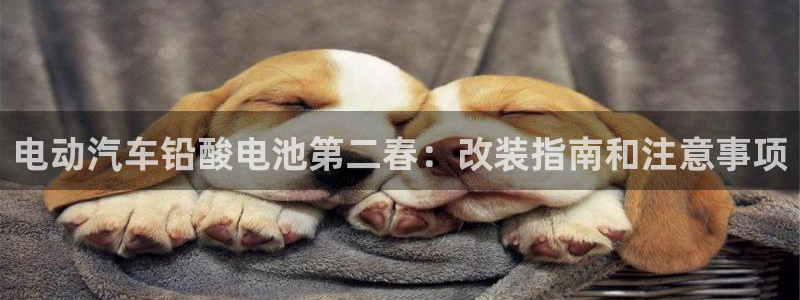 优发国际官网入口app下载