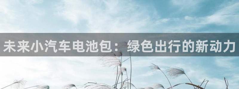 优发国际网官网17w80是什么