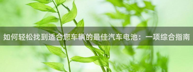 优发国际网官网17k8