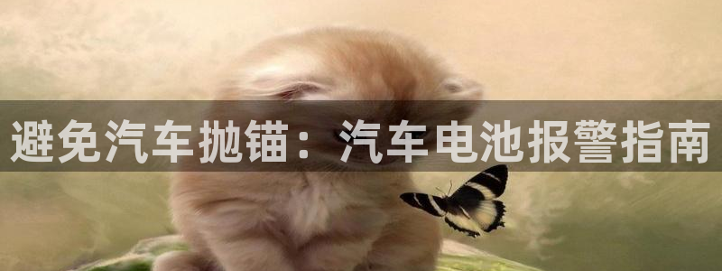 优发国际