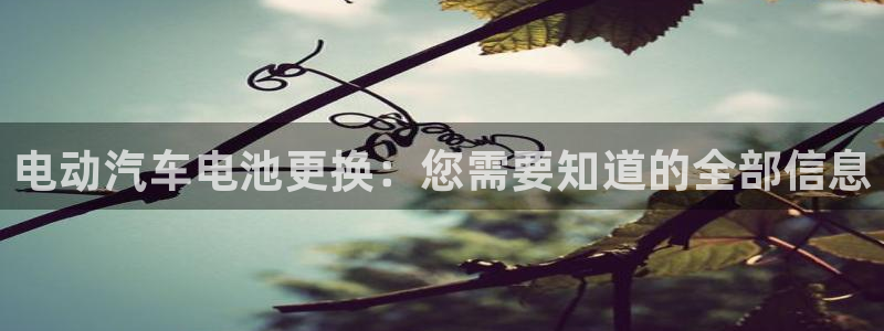优发国际手机版官网