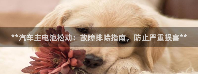 优发国际平台g8