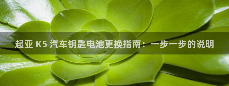 优发娱乐pc版官网