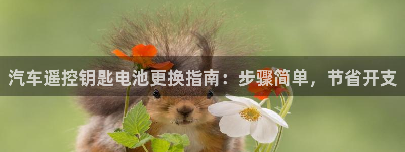 优发国际游戏17岁能玩吗