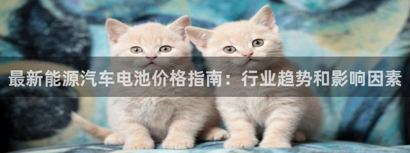 优发国际平台g80