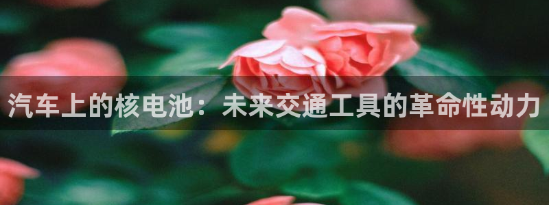 优发国际游戏官网