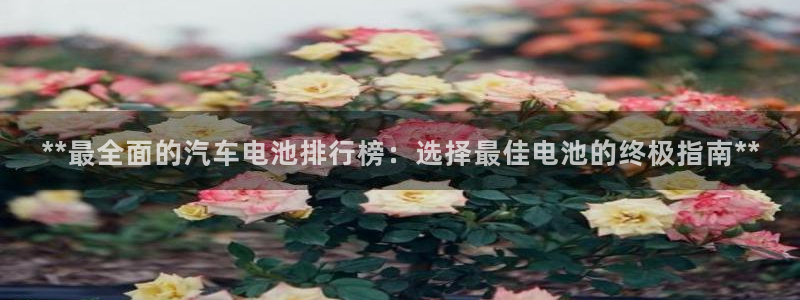 优发国际合并到哪里了啊