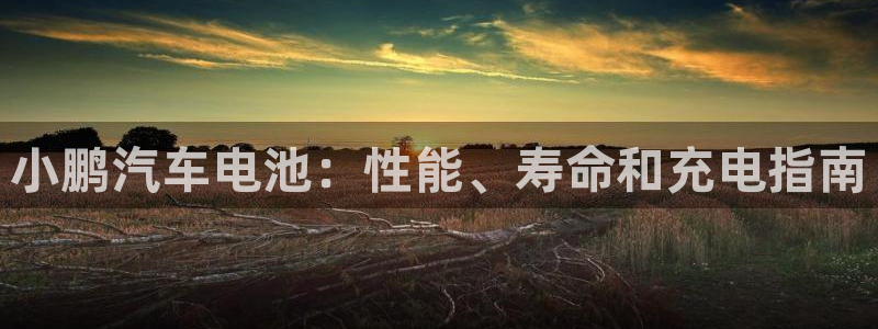 优发国际手机版下载官网