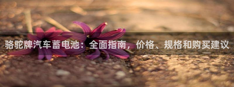 优发国际亚洲平台