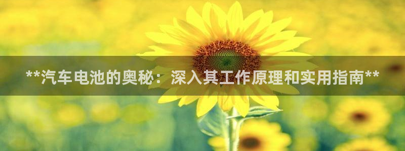 优发国际网页
