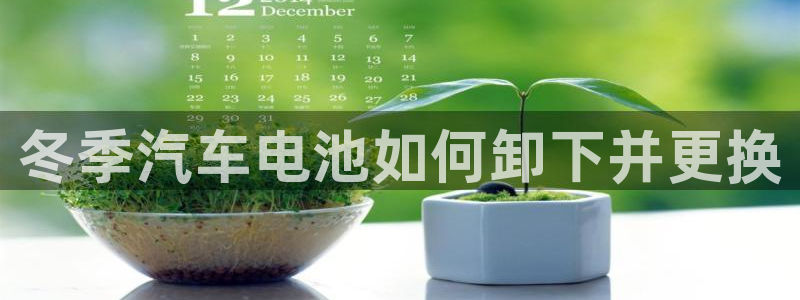 优发国际手机客户端下载安装不了
