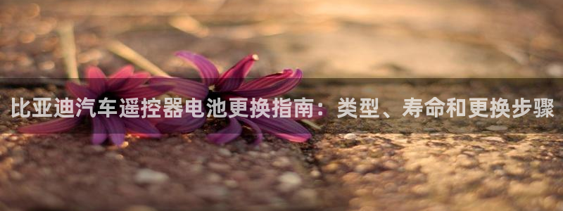 优发国际平台18岁能做吗