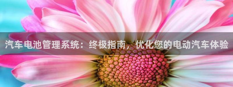 优发国际手机版唯一官网是什么