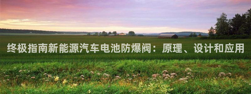 优发国际平台u8是什么公司