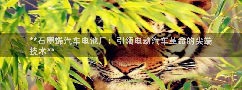 优发国际平台u8怎么样