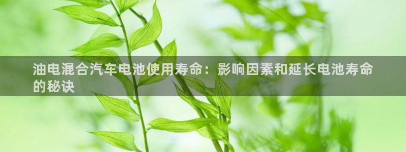 优发国际官网是多少号码