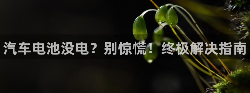 优发国际客服联系方式