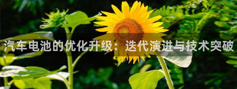 优发国际是大平台吗还是小平