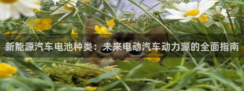 优发国际官网下载安装