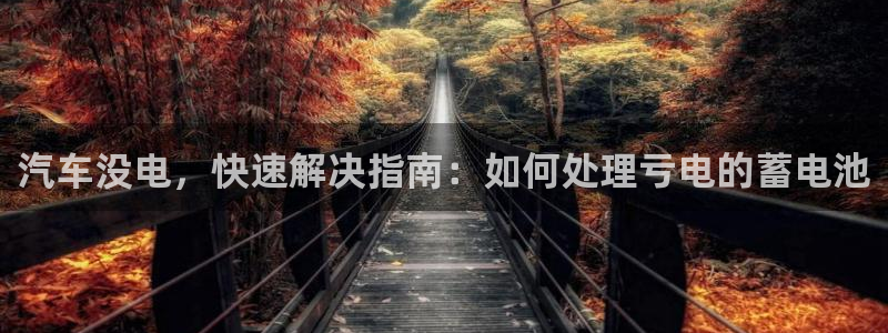 优发国际登陆