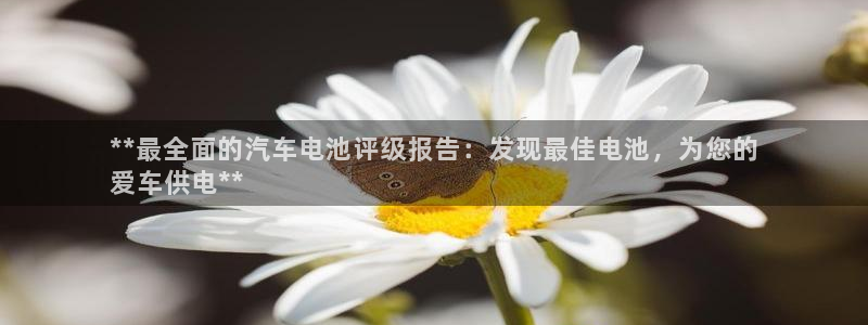 优发国际这个平台怎么样啊
