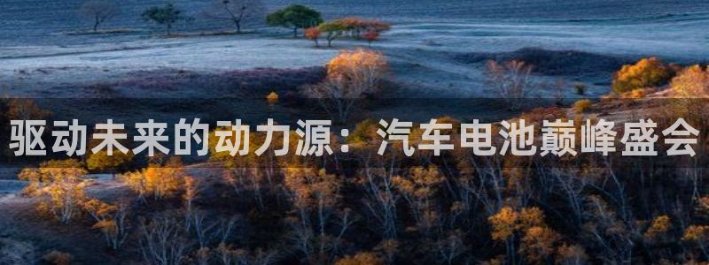 优发国际首页官网