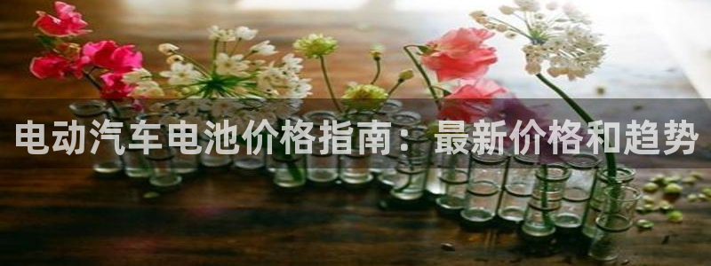 优发国际是什么