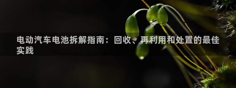 优发国际安卓版下载安装苹果