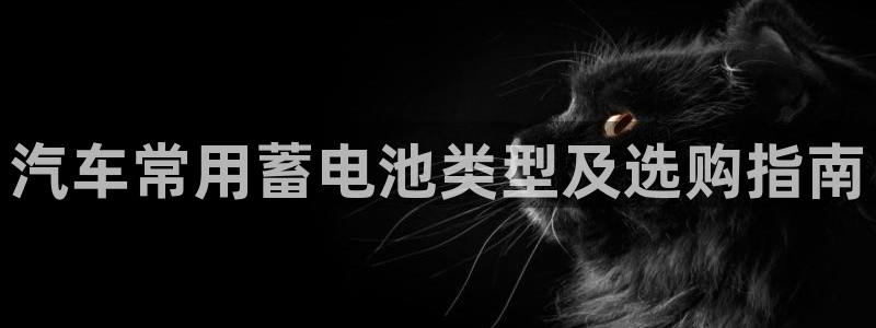 优发国际这个平台怎么样