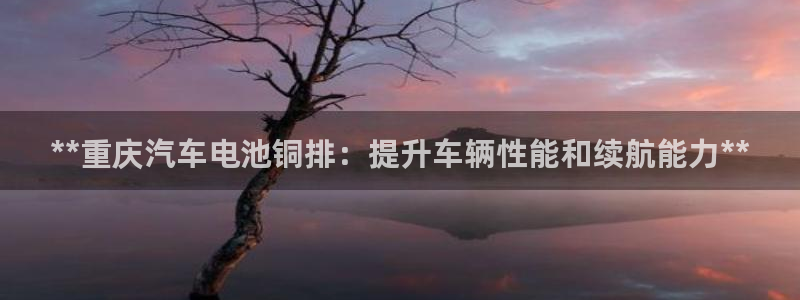 优发国际官网手机版入口