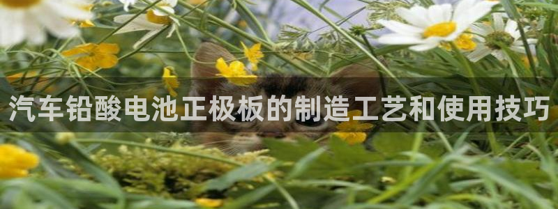 优发国际游戏n
