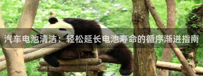优发国际最新网站下载