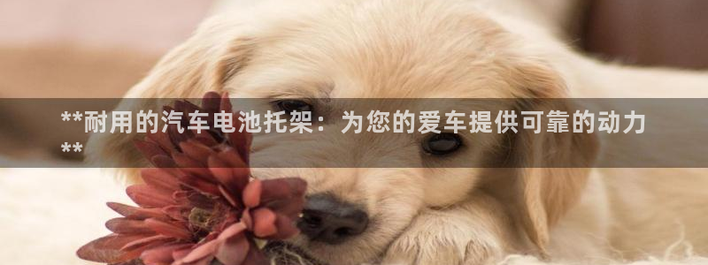 优发国际平台u8是什么软件
