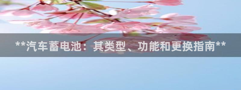 优发国际网官网址是多少