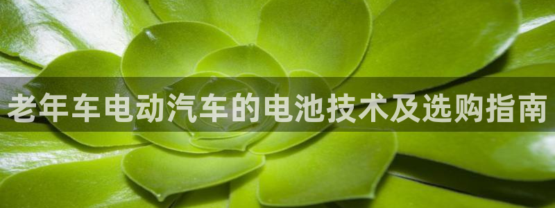 优发国际官方网手机版下载安卓