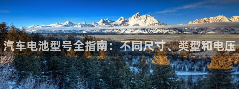 优发国际