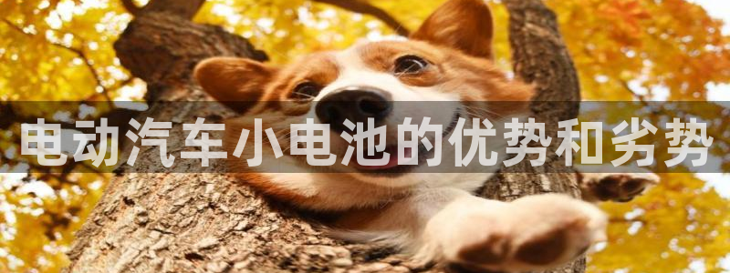 优发国际一首页