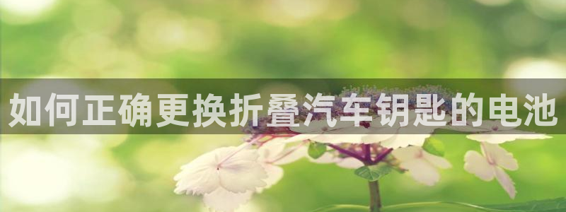 优发国际集团股份有限公司招聘