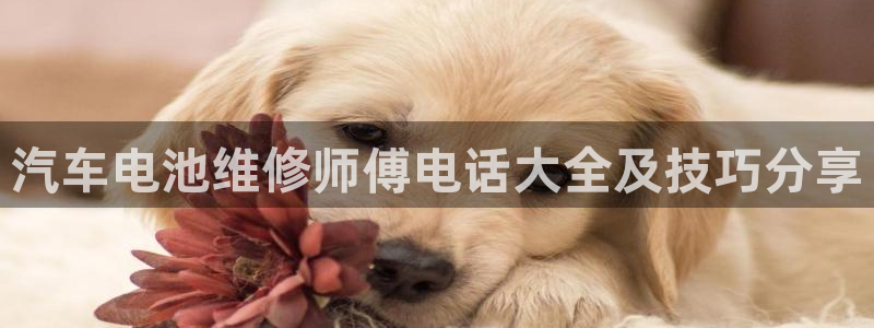 优发国际手机版唯一官网是什么