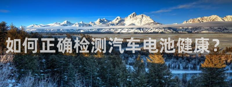 优发国际多少钱