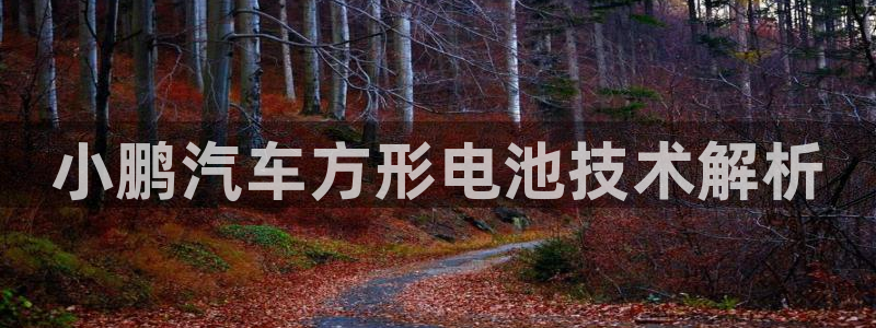 优发国际youfa966