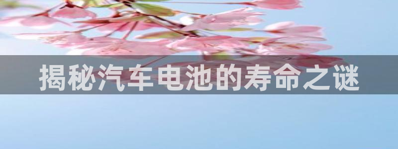 优发国际客服联系方式电话