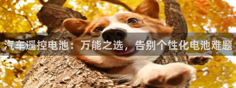 优发国际首页官网
