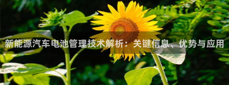 优发国际网官网：新能源汽车电池管理技术解析：关键信息、优势与应用