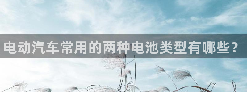 优发国际平台18岁能做吗：电动汽车常用的两种电池类型有哪些？