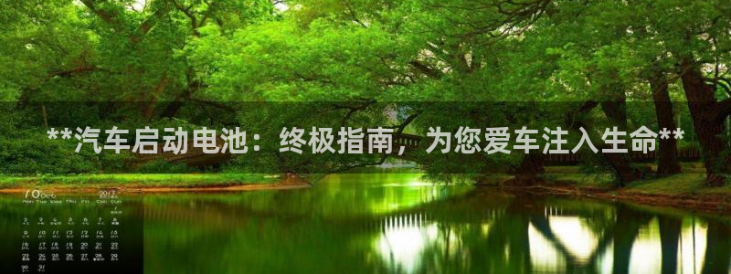 优发国际官方网平台：**汽车启动电池：终极指南，为您爱车注入生命**