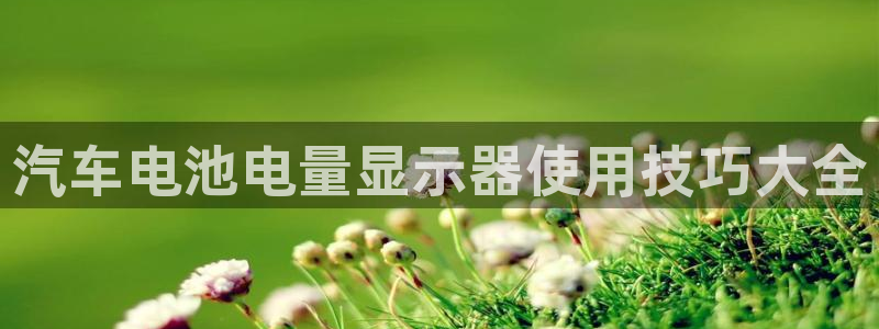 优发国际手机app下载安装苹果：汽车电池电量显示器使用技巧大全