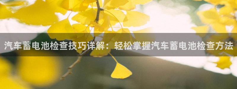 优发国际不出款：汽车蓄电池检查技巧详解：轻松掌握汽车蓄电池检查方法
