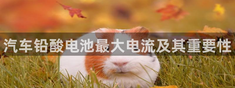 优发国际手机版客户端下载：汽车铅酸电池最大电流及其重要性